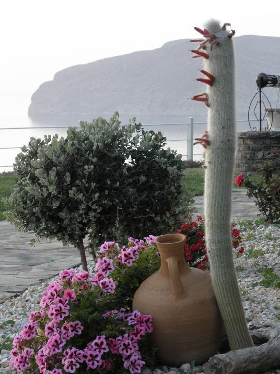 Villa Tholos Crete Kavoúsion Exteriér fotografie