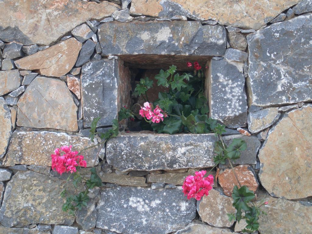 Villa Tholos Crete Kavoúsion Exteriér fotografie